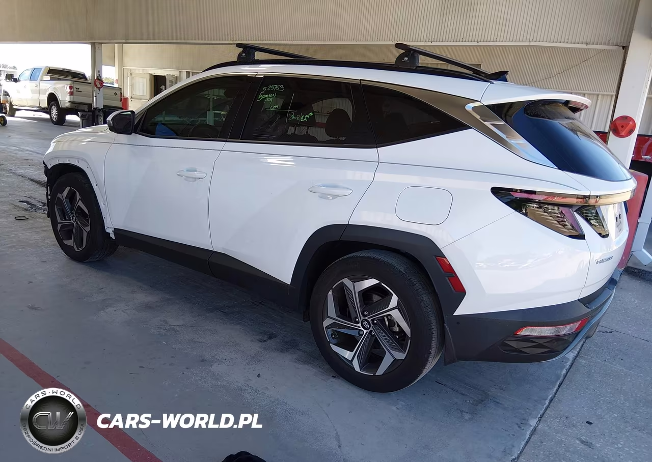 2024 Hyundai Tucson Limited VIN:5NMJE3DEXRH412937 - 3