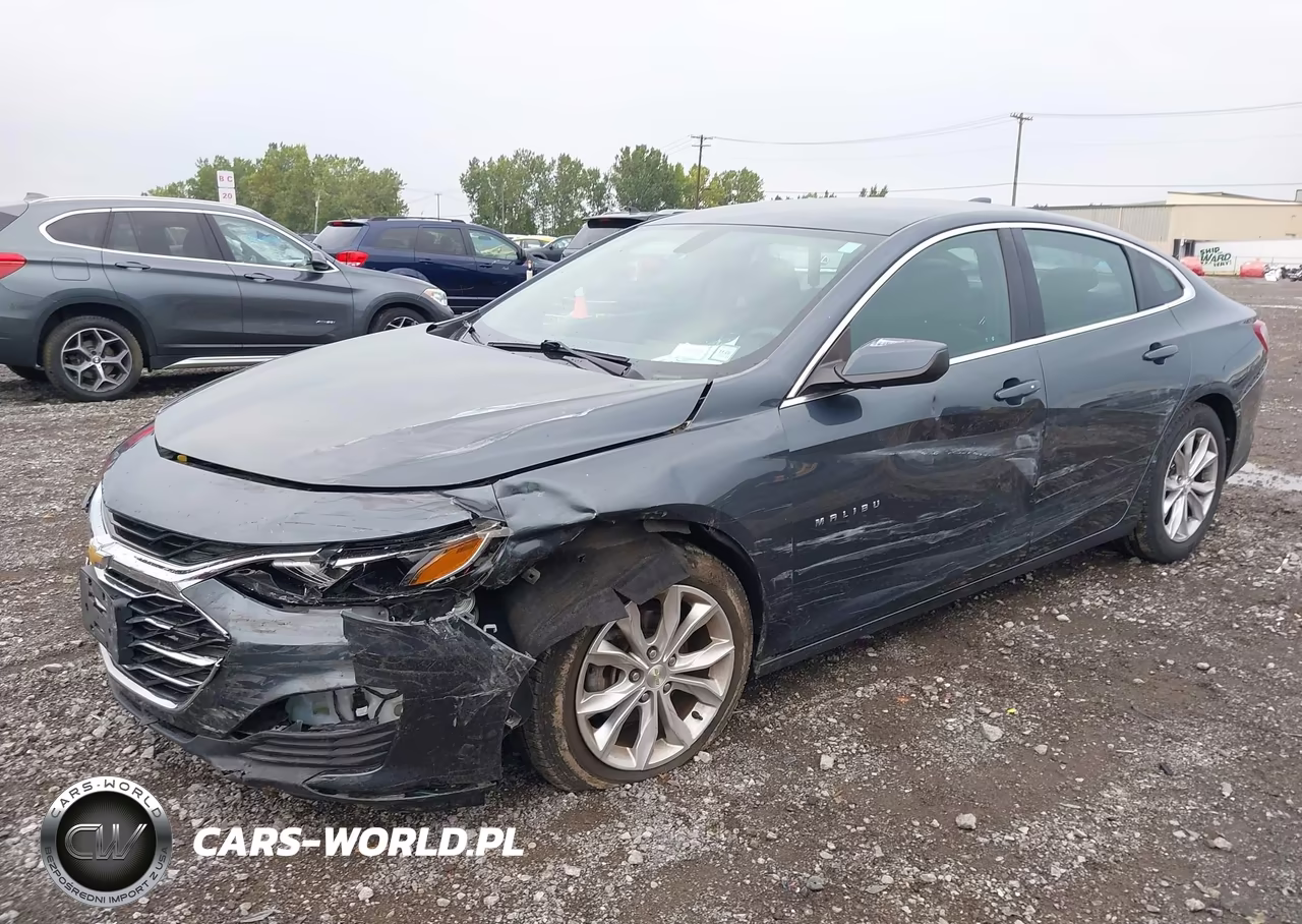 2019 Chevrolet Malibu Lt VIN:1G1ZD5ST7KF149045 - 2