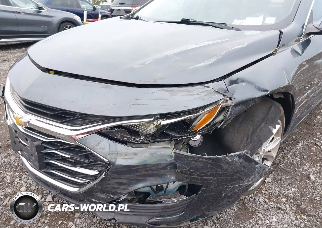 2019 Chevrolet Malibu Lt VIN:1G1ZD5ST7KF149045 - 6