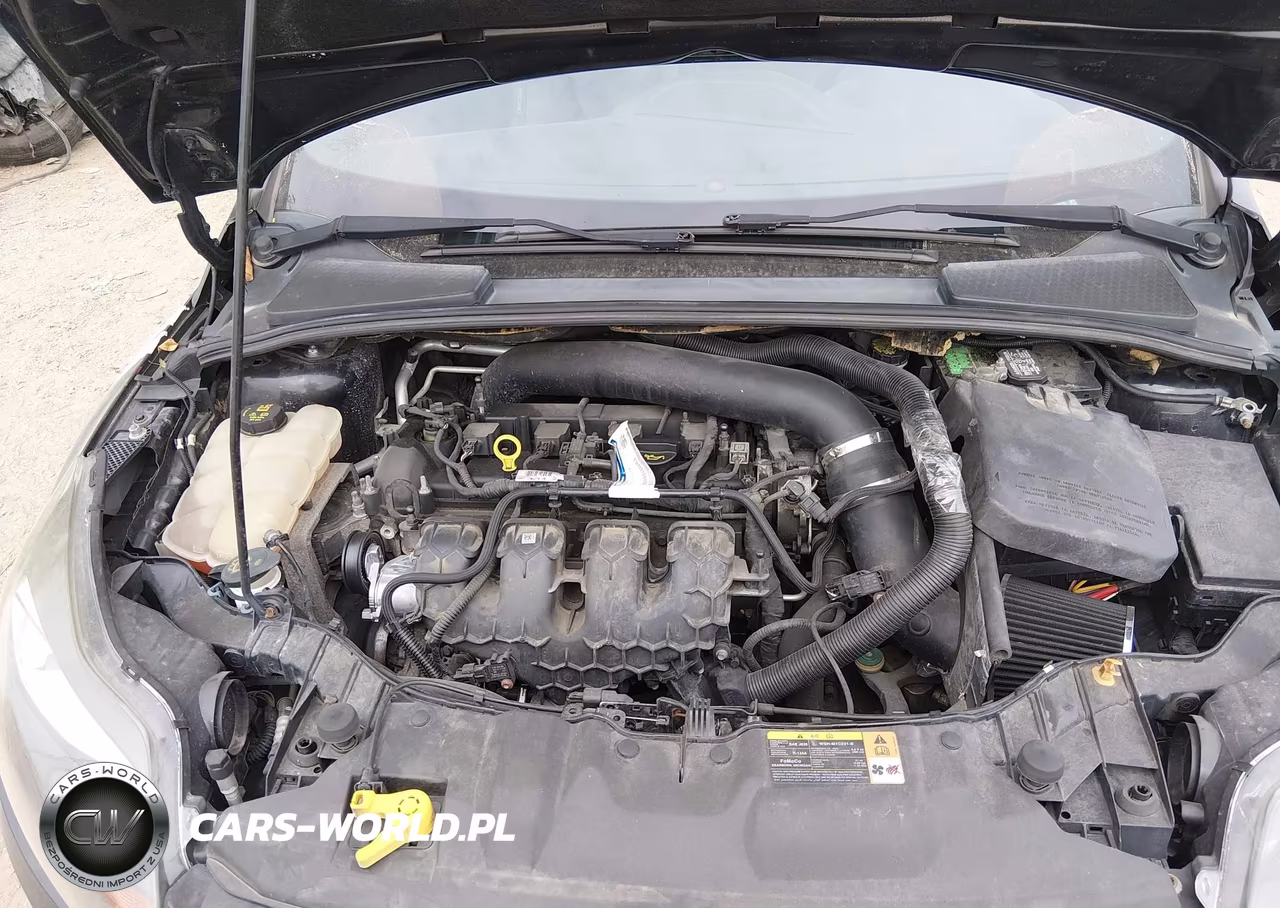 2013 Ford Focus St VIN:1FADP3L94DL380270 - 10