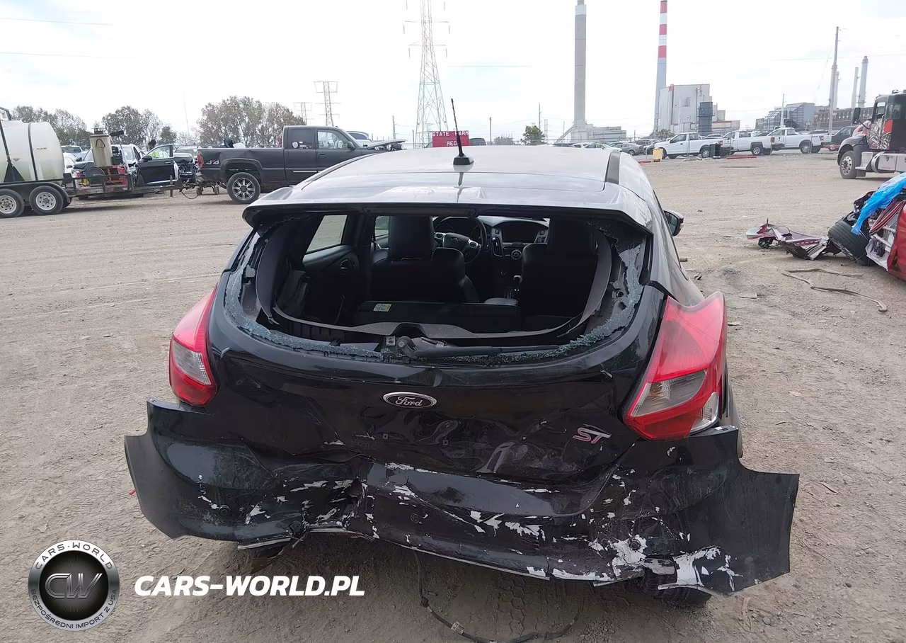 2013 Ford Focus St VIN:1FADP3L94DL380270 - 17