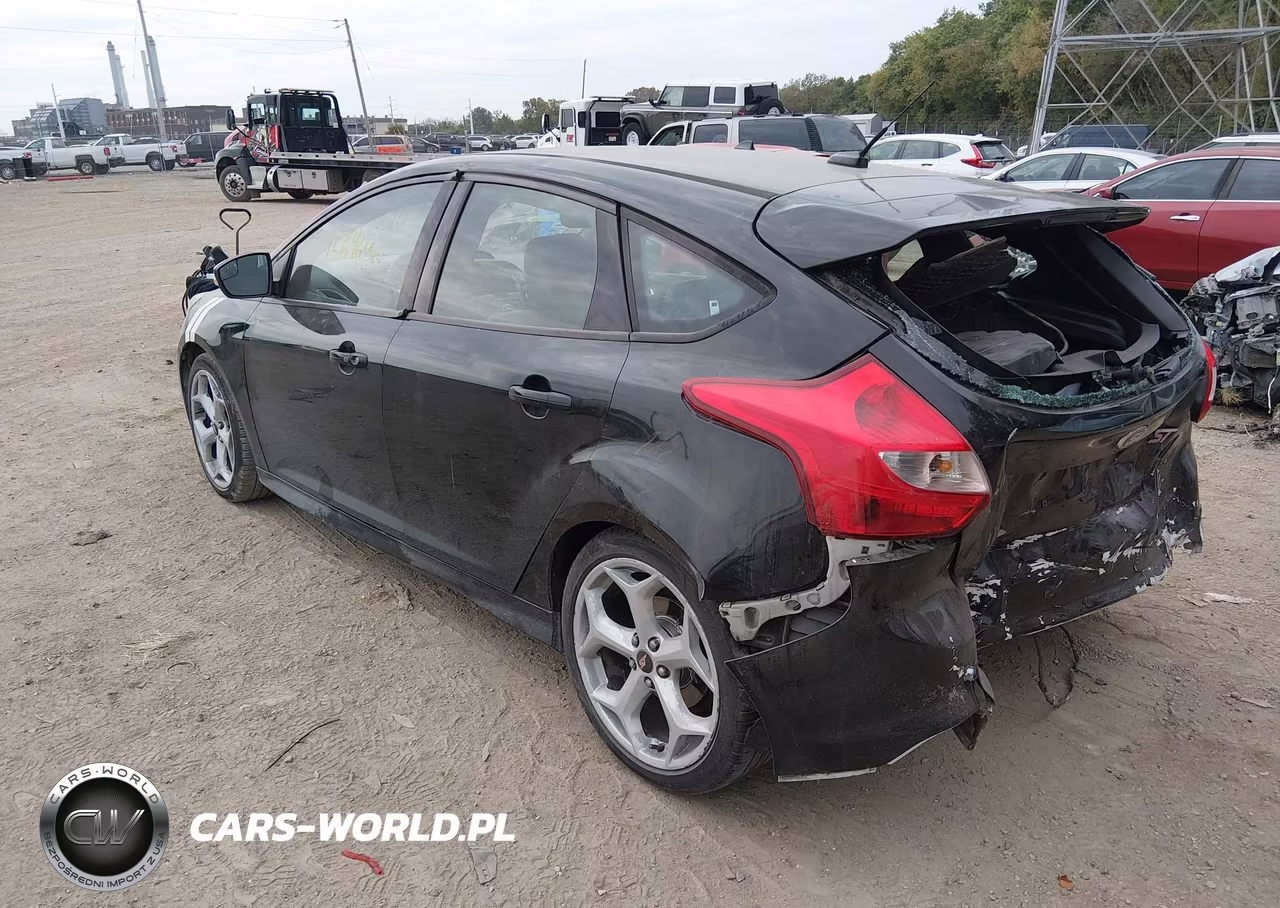 2013 Ford Focus St VIN:1FADP3L94DL380270 - 3