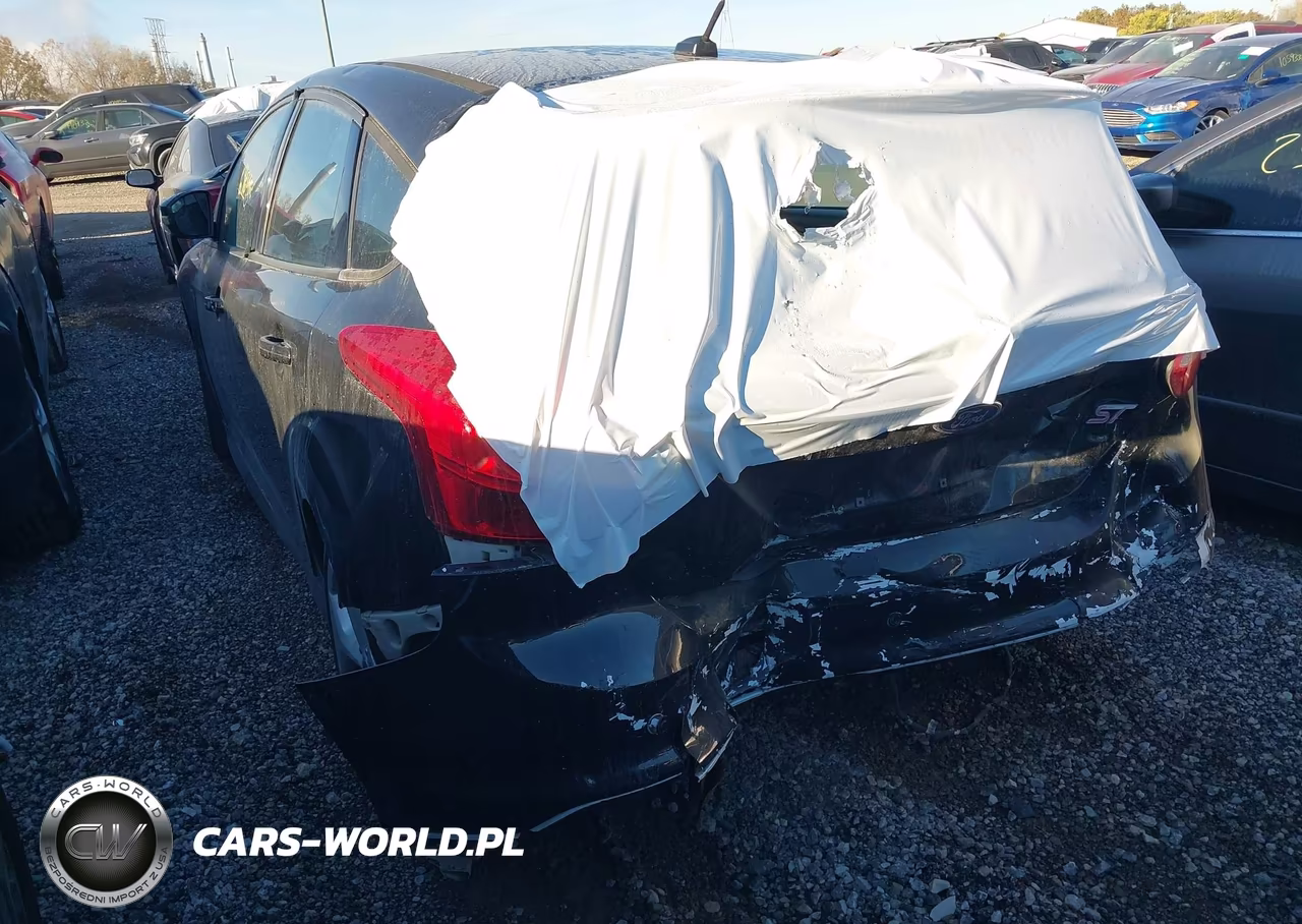 2013 Ford Focus St VIN:1FADP3L94DL380270 - 6