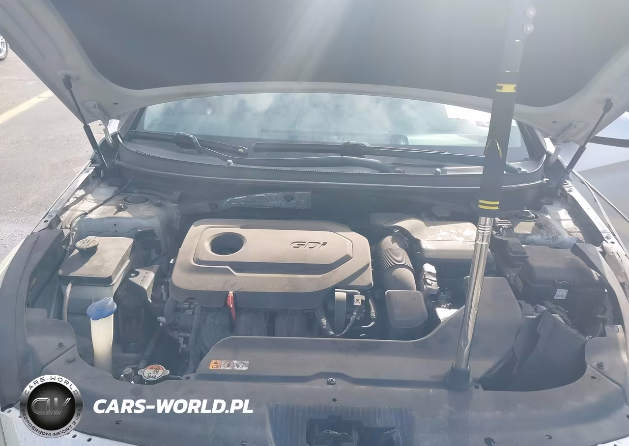 2016 Hyundai Sonata Se VIN:5NPE24AF9GH383671 - 10