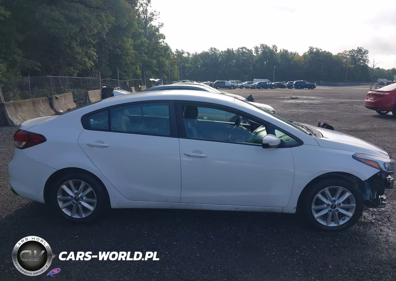 2017 Kia Forte Lx VIN:3KPFL4A77HE153045 - 13