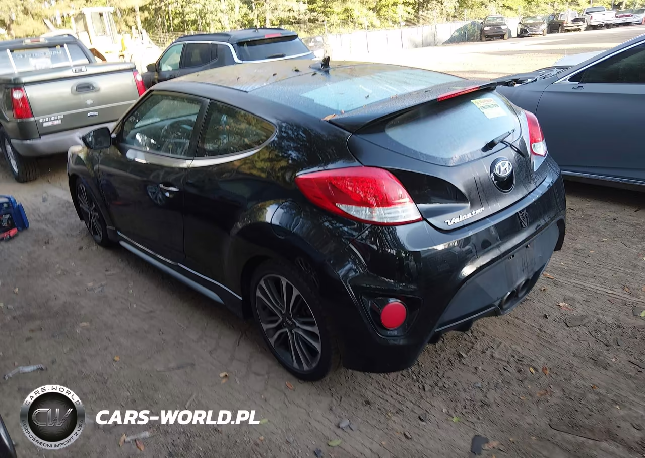 2016 Hyundai Veloster Turbo VIN:KMHTC6AE1GU266918 - 3