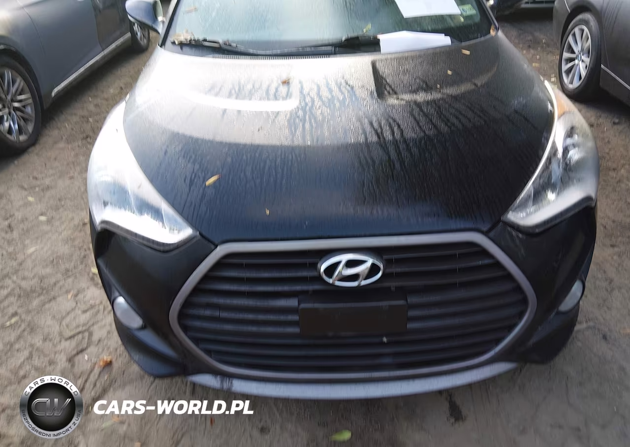 2016 Hyundai Veloster Turbo VIN:KMHTC6AE1GU266918 - 6