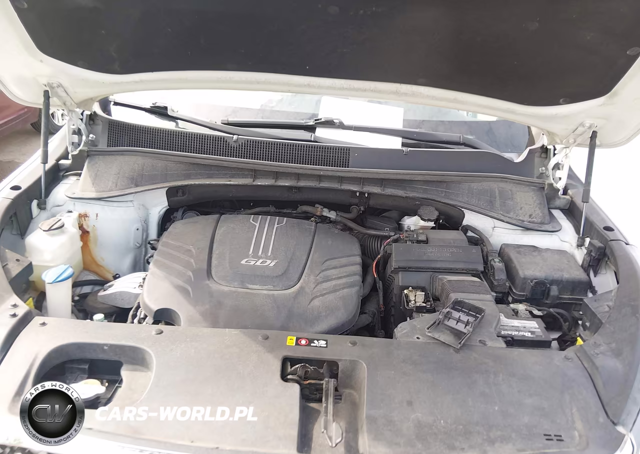 2017 Kia Sorento 3.3L Sxl VIN:5XYPKDA53HG309526 - 10