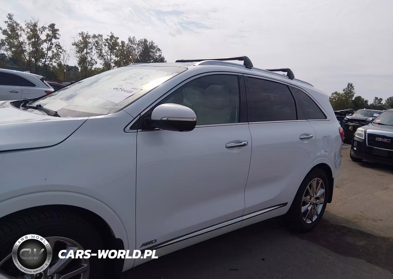 2017 Kia Sorento 3.3L Sxl VIN:5XYPKDA53HG309526 - 13
