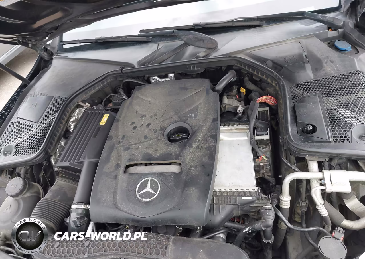 2016 Mercedes-Benz C 300 VIN:55SWF4JB9GU167970 - 10