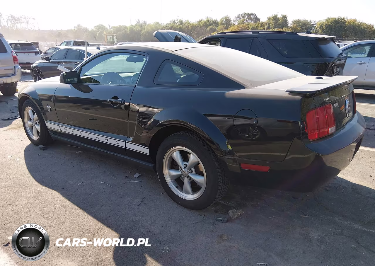 2009 Ford Mustang V6-V6 Premium VIN:1ZVHT80N495142658 - 3