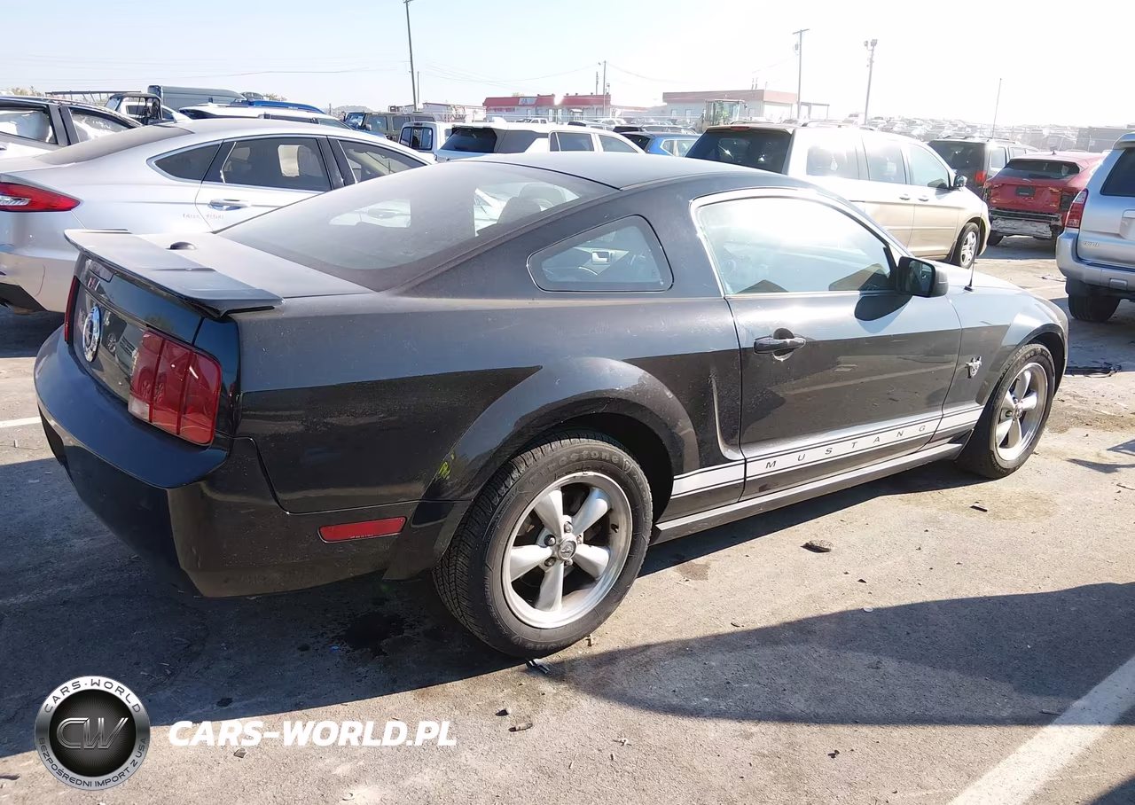2009 Ford Mustang V6-V6 Premium VIN:1ZVHT80N495142658 - 4
