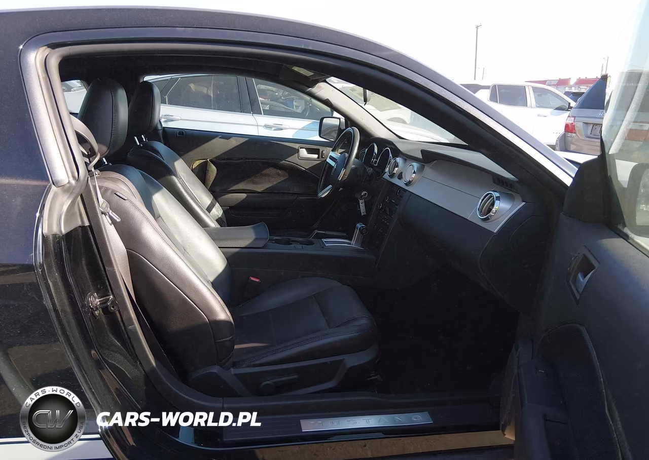 2009 Ford Mustang V6-V6 Premium VIN:1ZVHT80N495142658 - 5