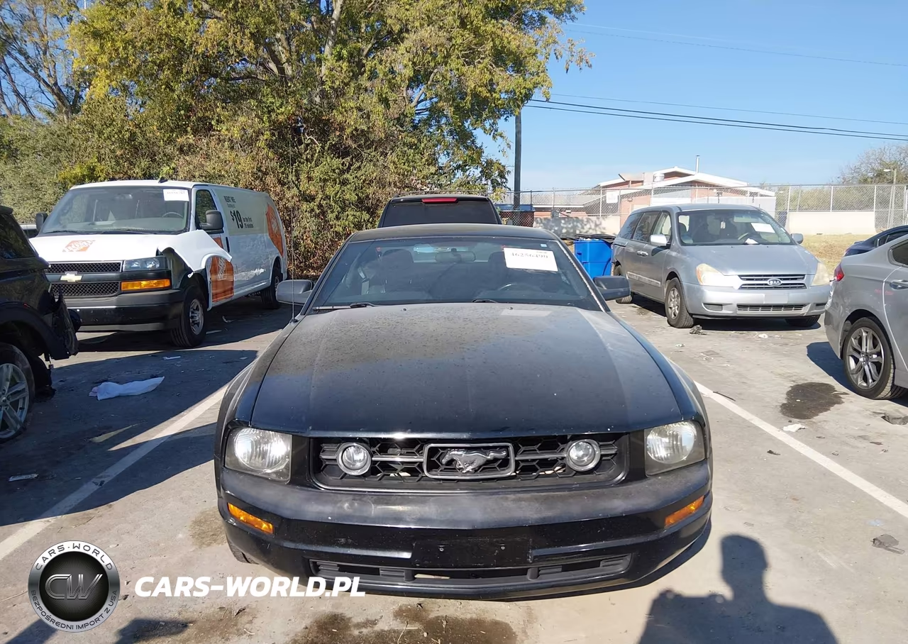 2009 Ford Mustang V6-V6 Premium VIN:1ZVHT80N495142658 - 6