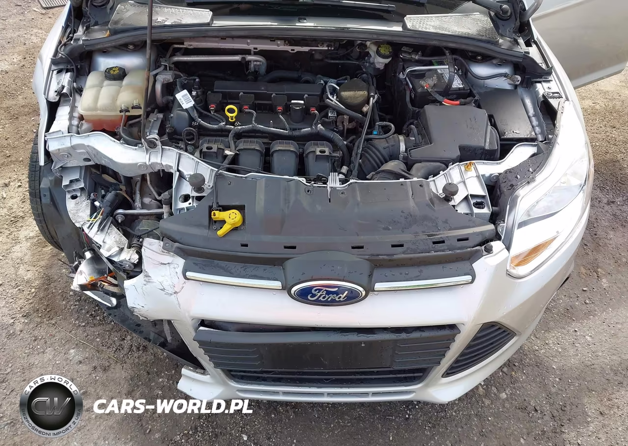 2014 Ford Focus Se VIN:1FADP3F23EL402338 - 10