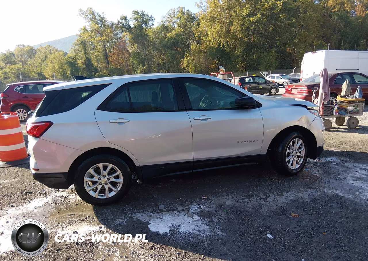 2018 Chevrolet Equinox Ls VIN:2GNAXREV8J6294529 - 13