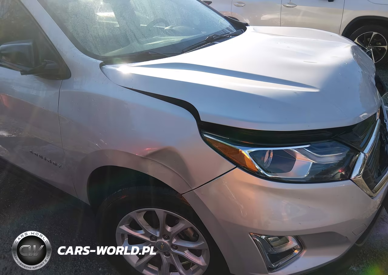 2018 Chevrolet Equinox Ls VIN:2GNAXREV8J6294529 - 19