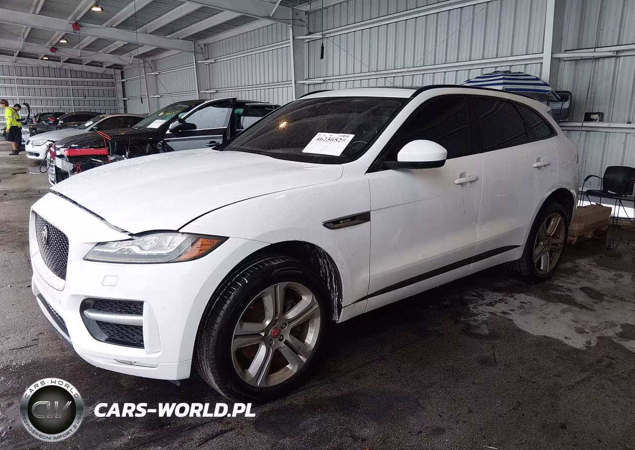 2019 Jaguar F-Pace 25T R-Sport-30T R-Sport VIN:SADCL2GX4KA395546 - 2