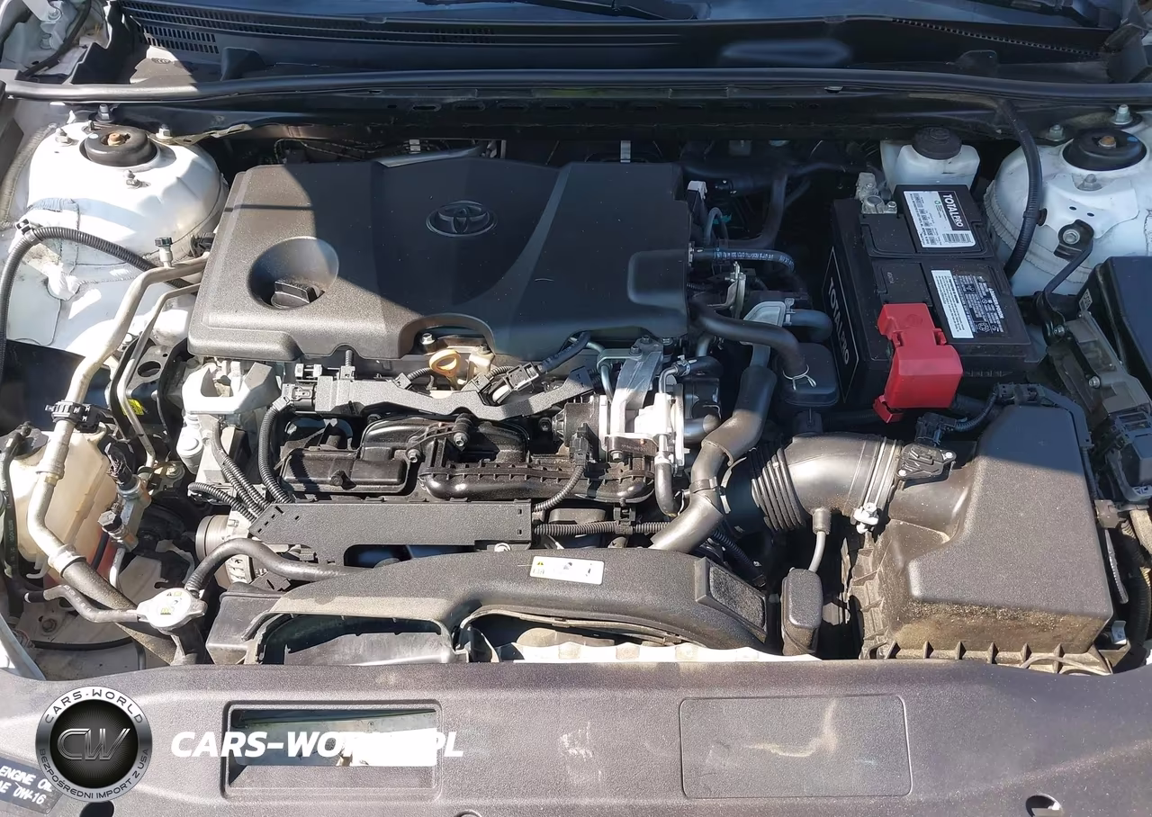 2019 Toyota Camry Se VIN:4T1B11HK1KU234933 - 10