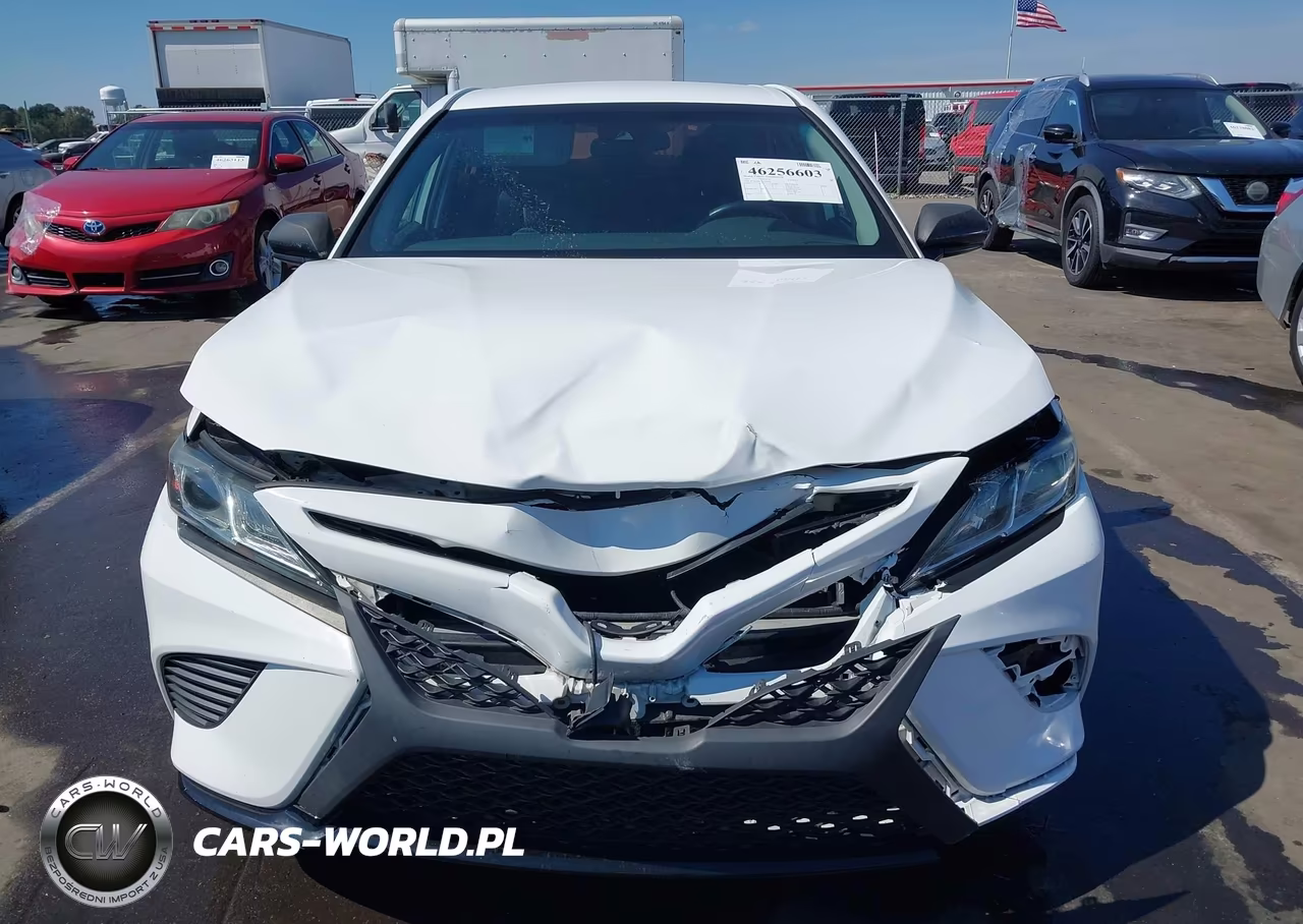 2019 Toyota Camry Se VIN:4T1B11HK1KU234933 - 12