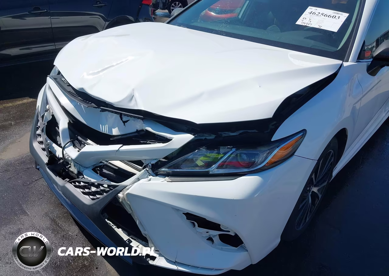 2019 Toyota Camry Se VIN:4T1B11HK1KU234933 - 18