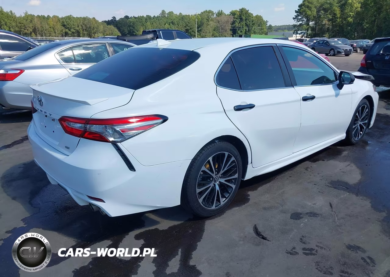 2019 Toyota Camry Se VIN:4T1B11HK1KU234933 - 4
