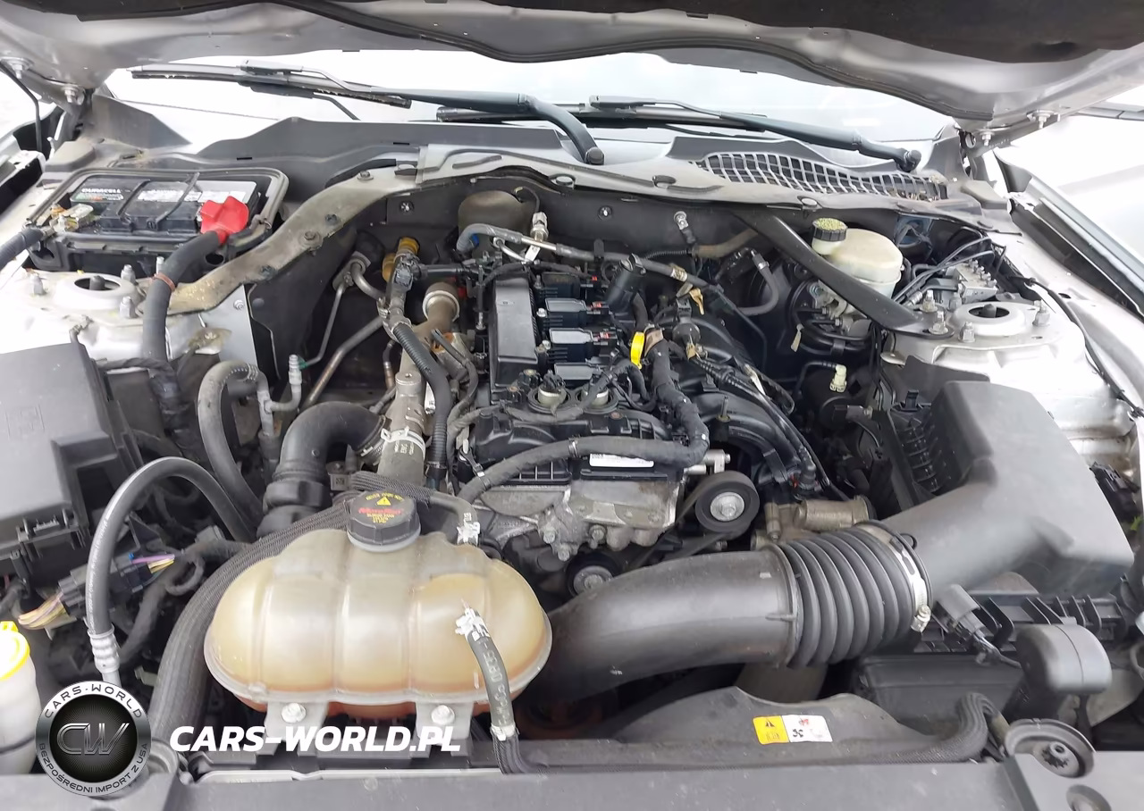 2015 Ford Mustang Ecoboost VIN:1FA6P8THXF5391200 - 10