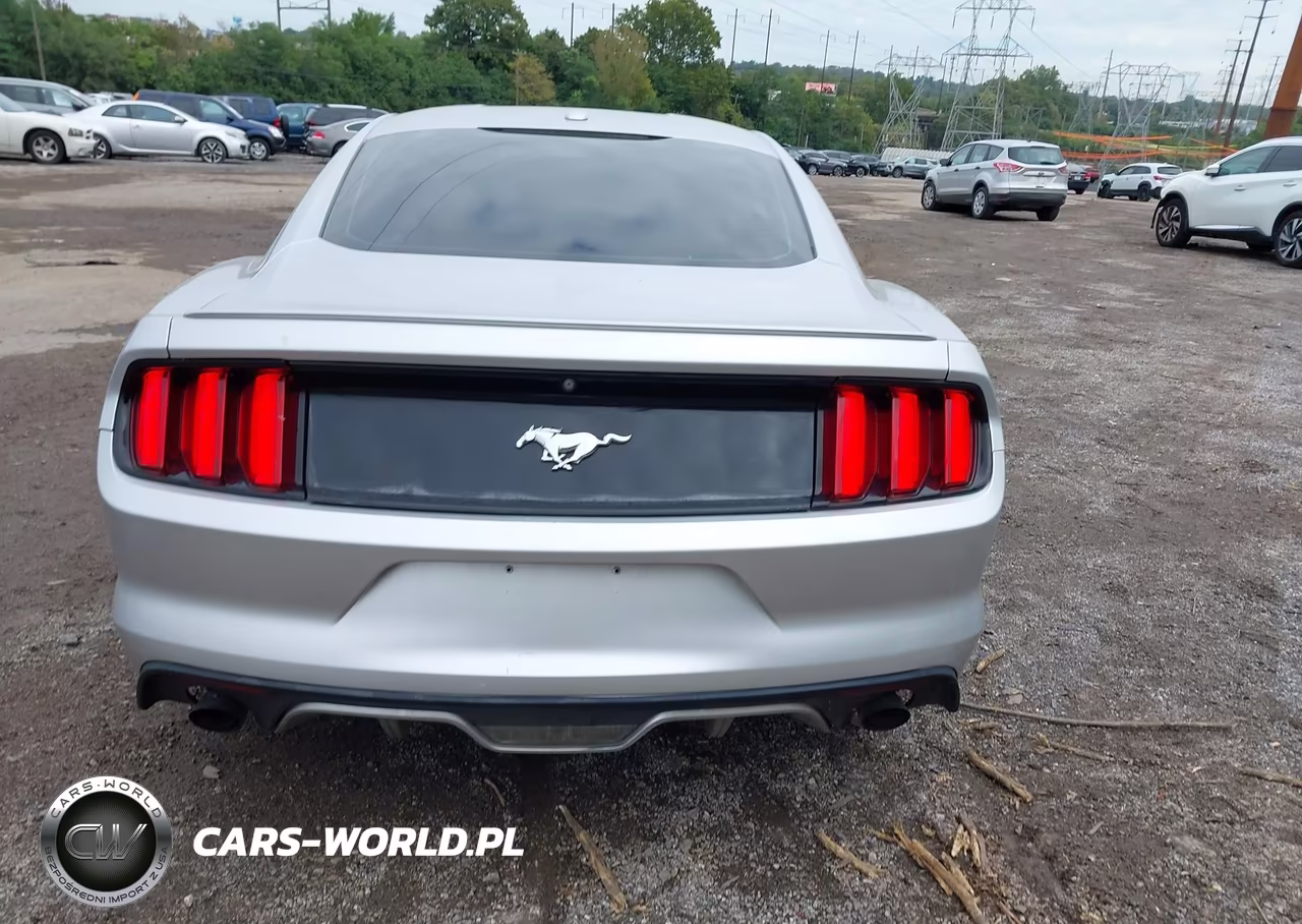 2015 Ford Mustang Ecoboost VIN:1FA6P8THXF5391200 - 16