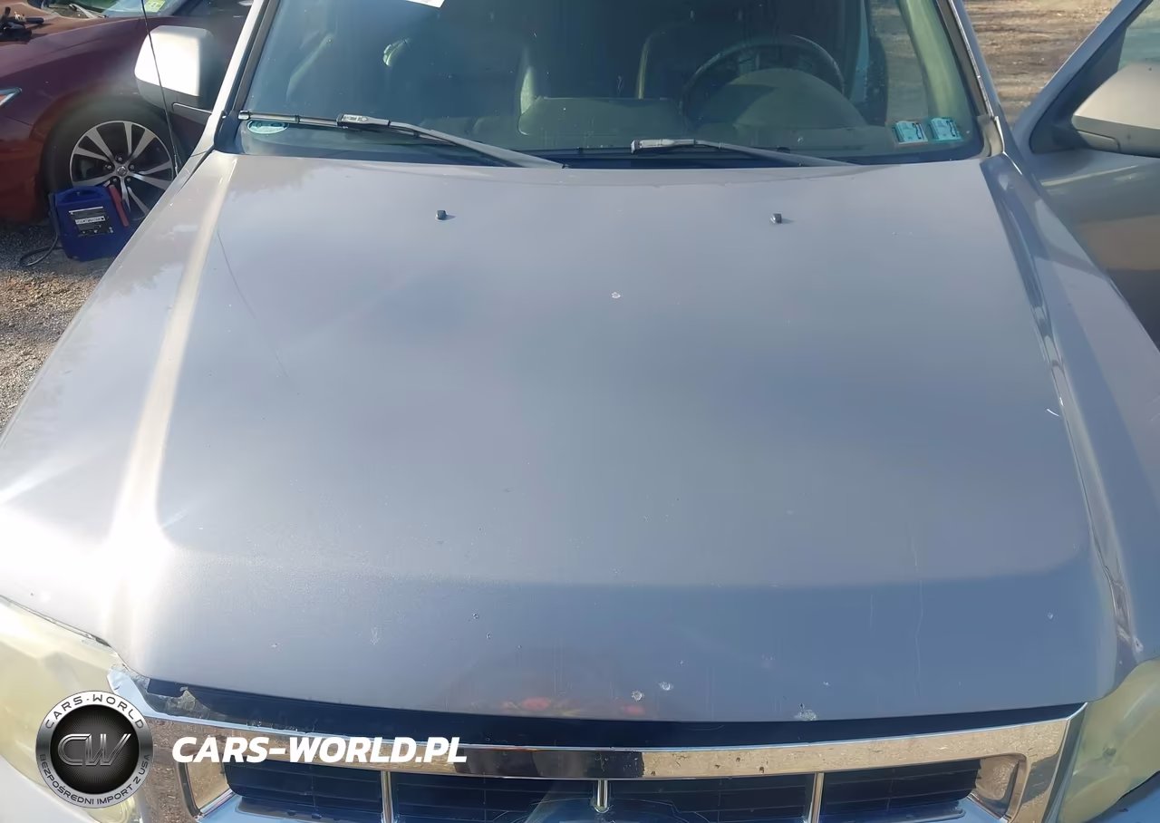 2008 Ford Escape Xlt VIN:1FMCU93Z78KE11262 - 10