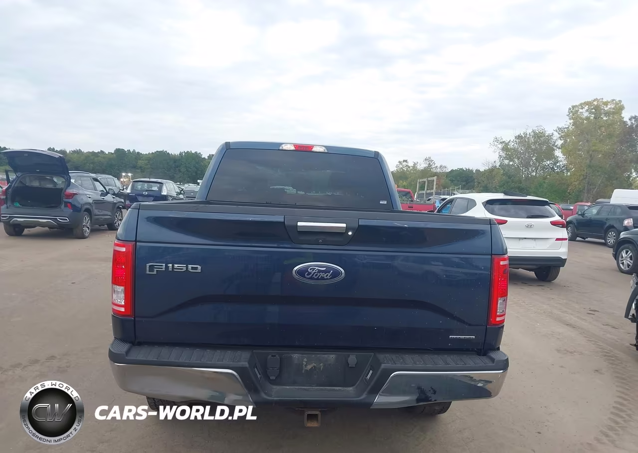 2016 Ford F-150 Xlt VIN:1FTFW1EF2GFB13676 - 17