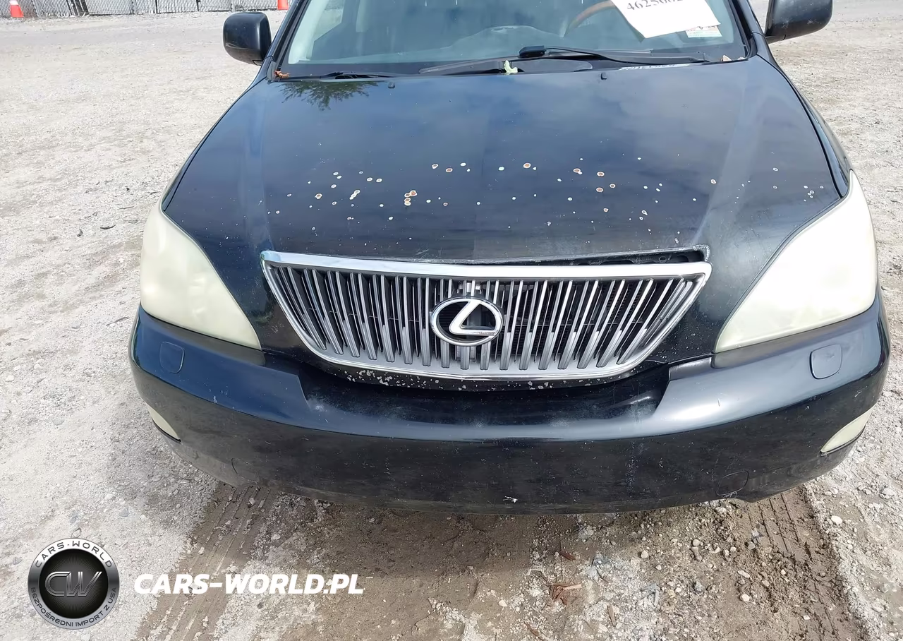 2004 Lexus Rx 330 VIN:JTJGA31U640008024 - 6
