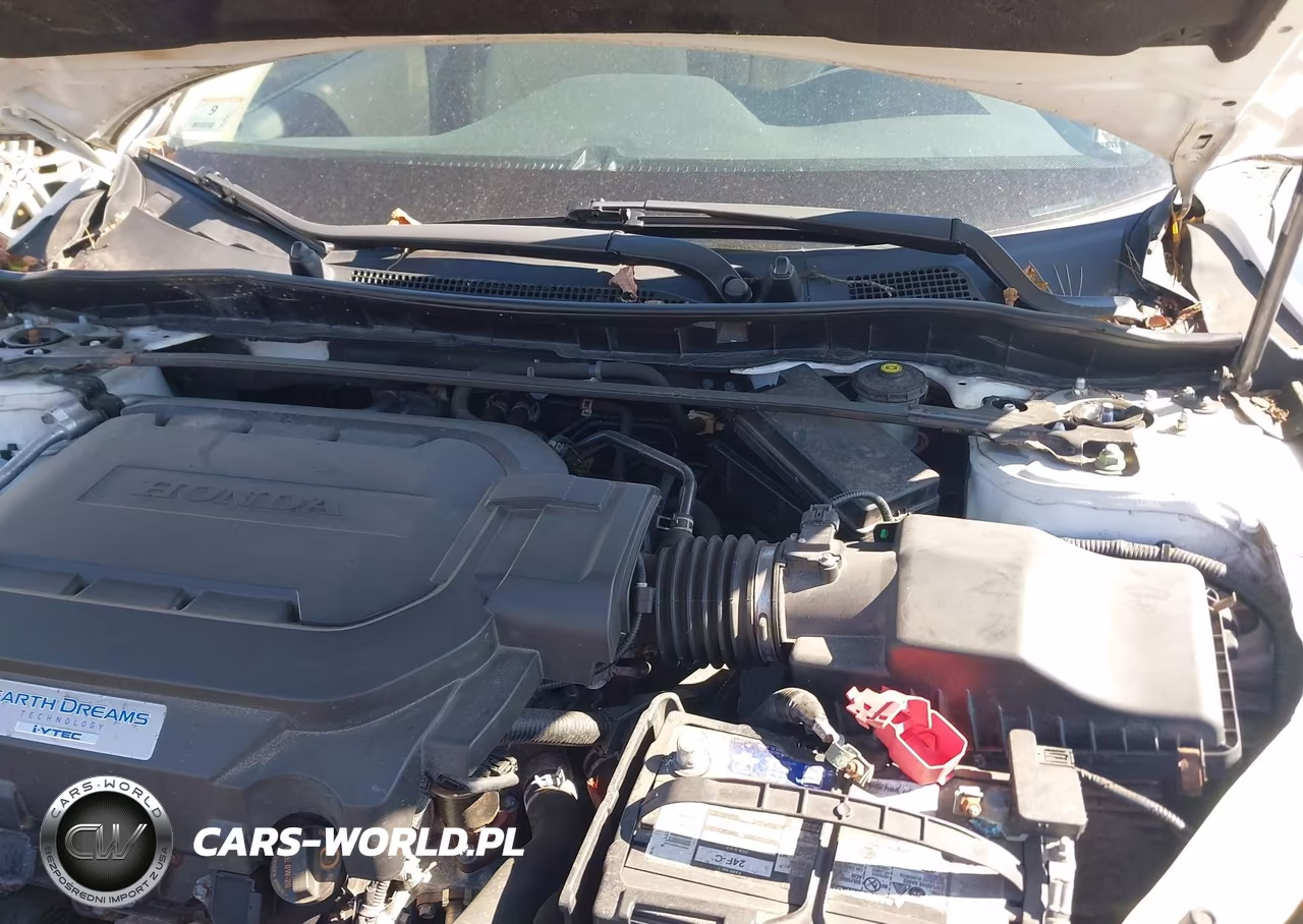 2014 Honda Accord Ex-L V-6 VIN:1HGCR3F89EA038850 - 10