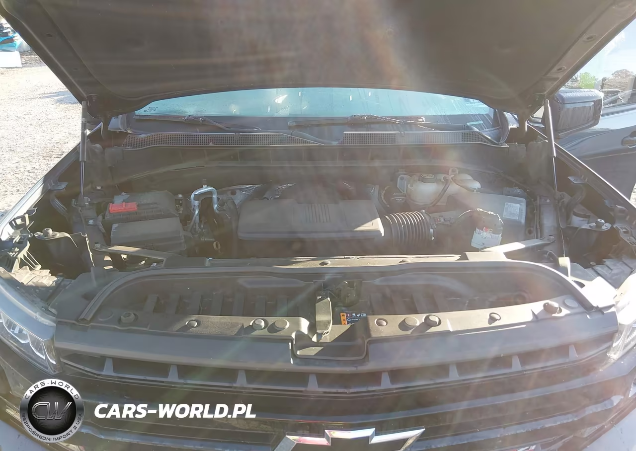 2019 Chevrolet Silverado 1500 Lt Trail Boss VIN:3GCPYFED4KG189272 - 10