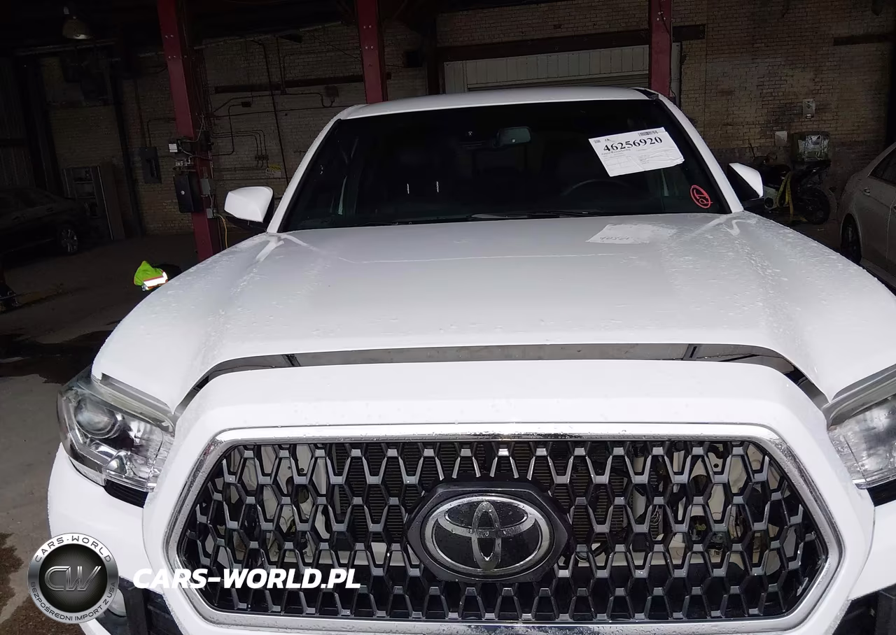 2023 Toyota Tacoma Trd Off Road VIN:3TMDZ5BN9PM166425 - 12