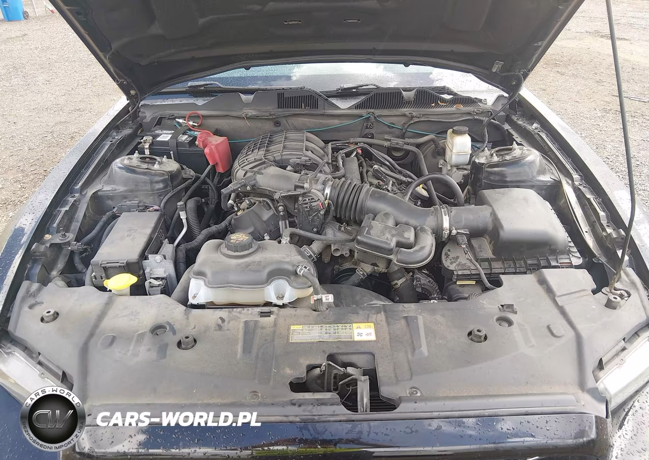 2013 Ford Mustang V6 Premium VIN:1ZVBP8AM2D5200534 - 10