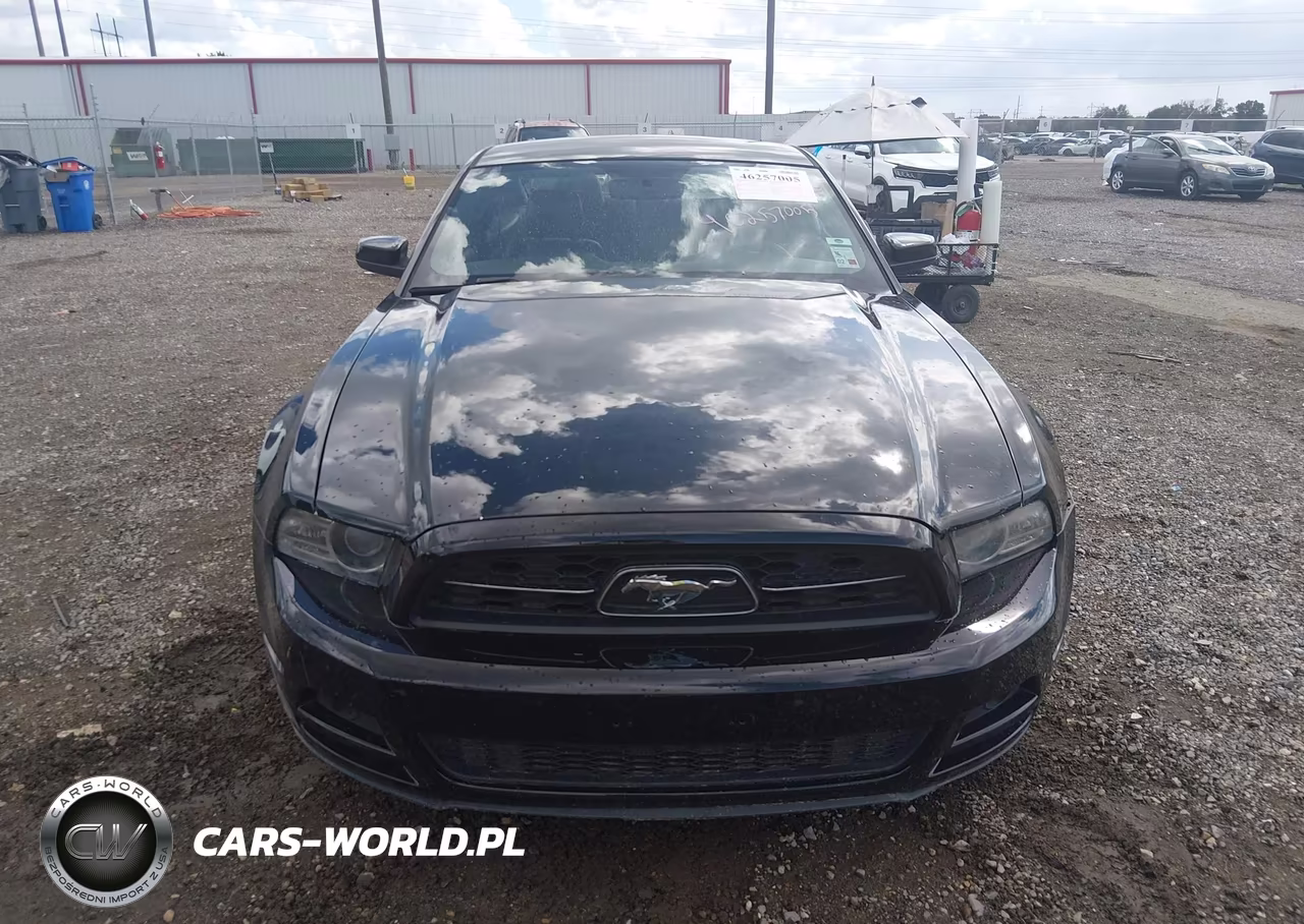 2013 Ford Mustang V6 Premium VIN:1ZVBP8AM2D5200534 - 12