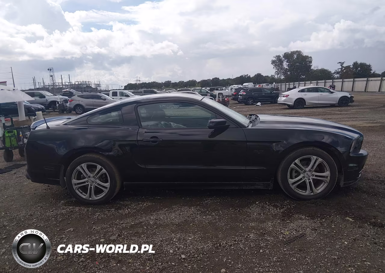 2013 Ford Mustang V6 Premium VIN:1ZVBP8AM2D5200534 - 13