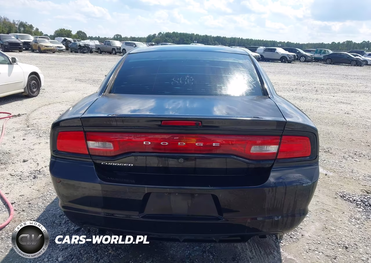 2014 Dodge Charger Police VIN:2C3CDXAG5EH193582 - 16