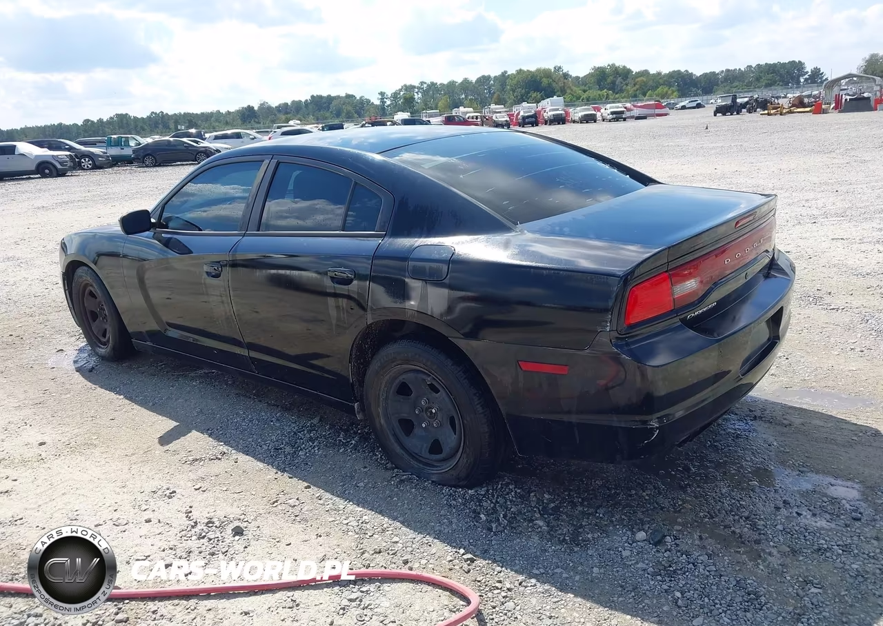 2014 Dodge Charger Police VIN:2C3CDXAG5EH193582 - 3