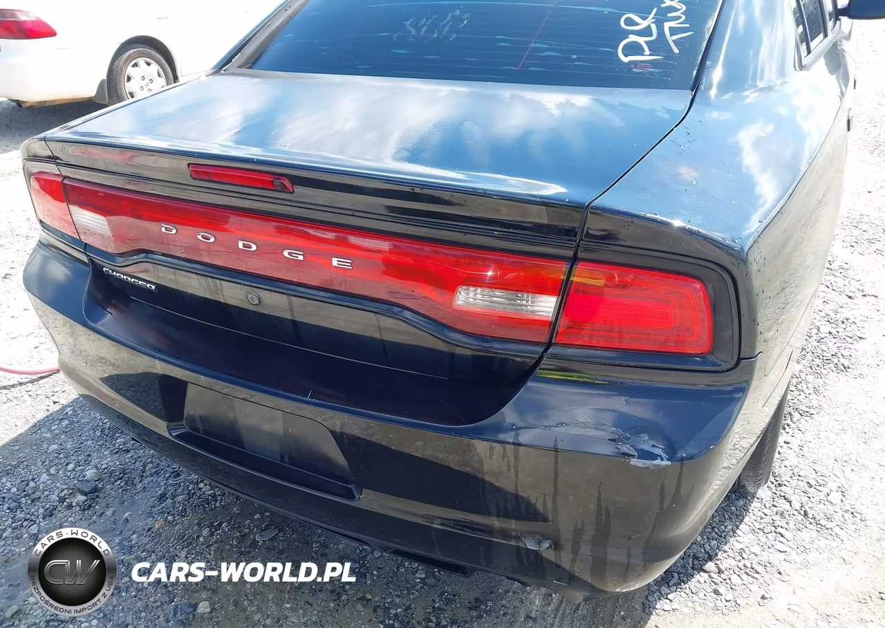 2014 Dodge Charger Police VIN:2C3CDXAG5EH193582 - 6