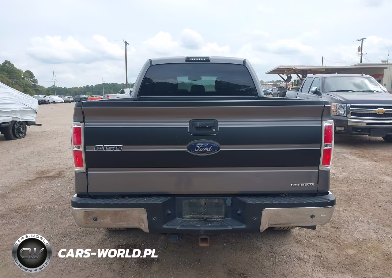 2014 Ford F-150 Xlt VIN:1FTFX1CF3EKF45536 - 16