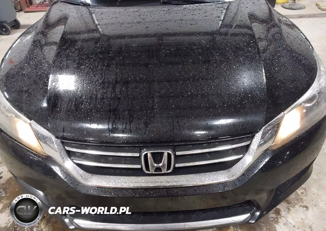 2014 Honda Accord Lx VIN:1HGCR2F36EA286486 - 12