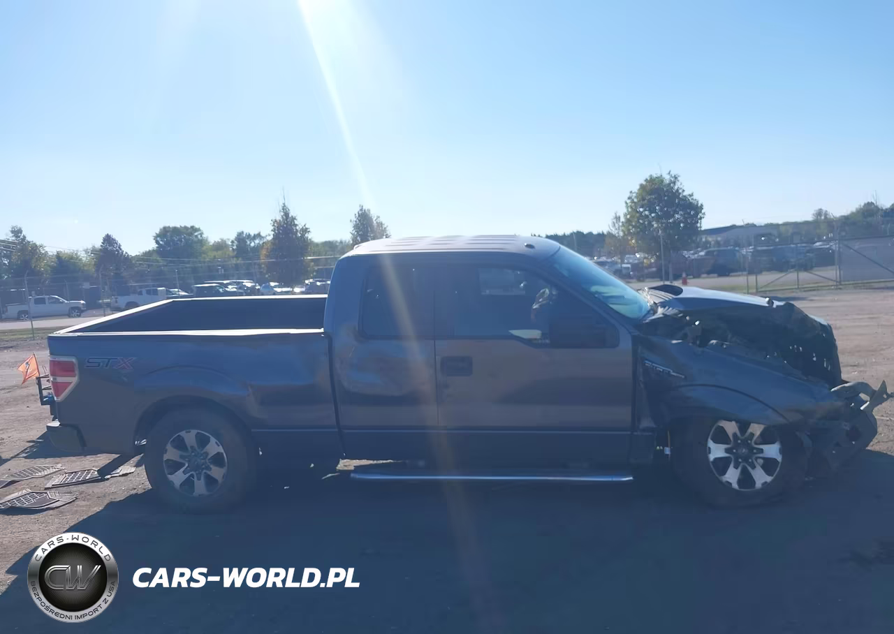 2014 Ford F-150 Stx VIN:1FTFX1EF9EFC82099 - 13