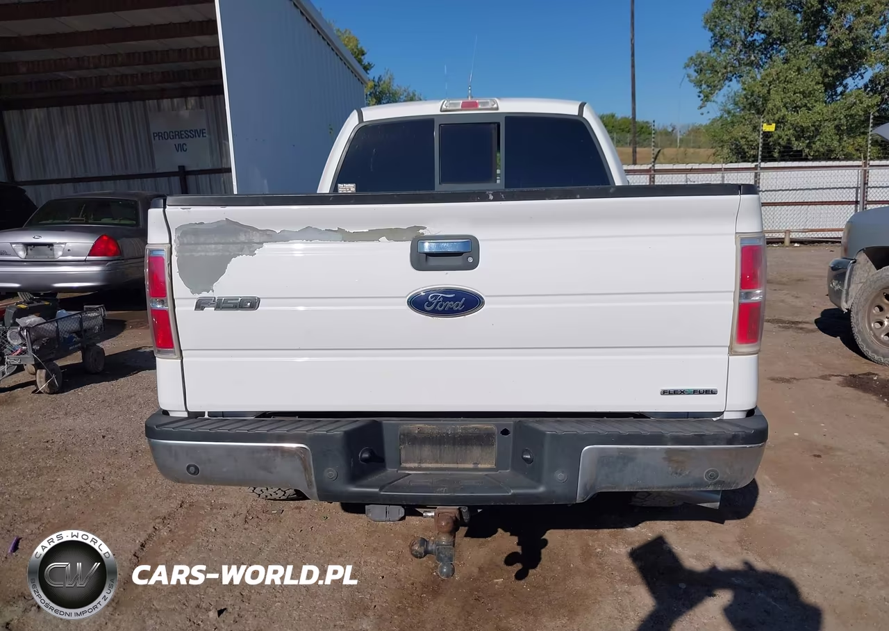 2011 Ford F-150 Xlt VIN:1FTFX1EF2BKD03782 - 16