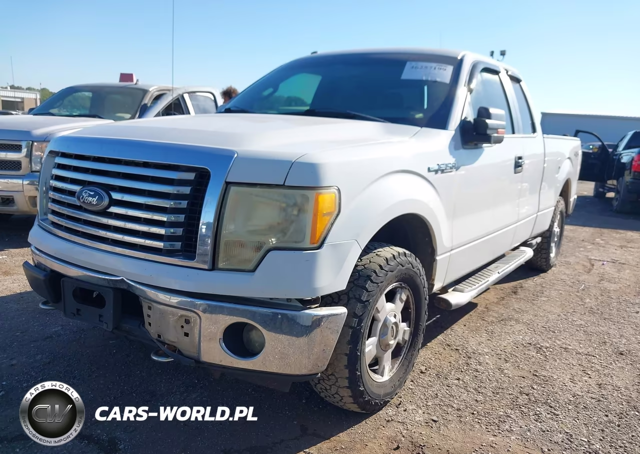 2011 Ford F-150 Xlt VIN:1FTFX1EF2BKD03782 - 2