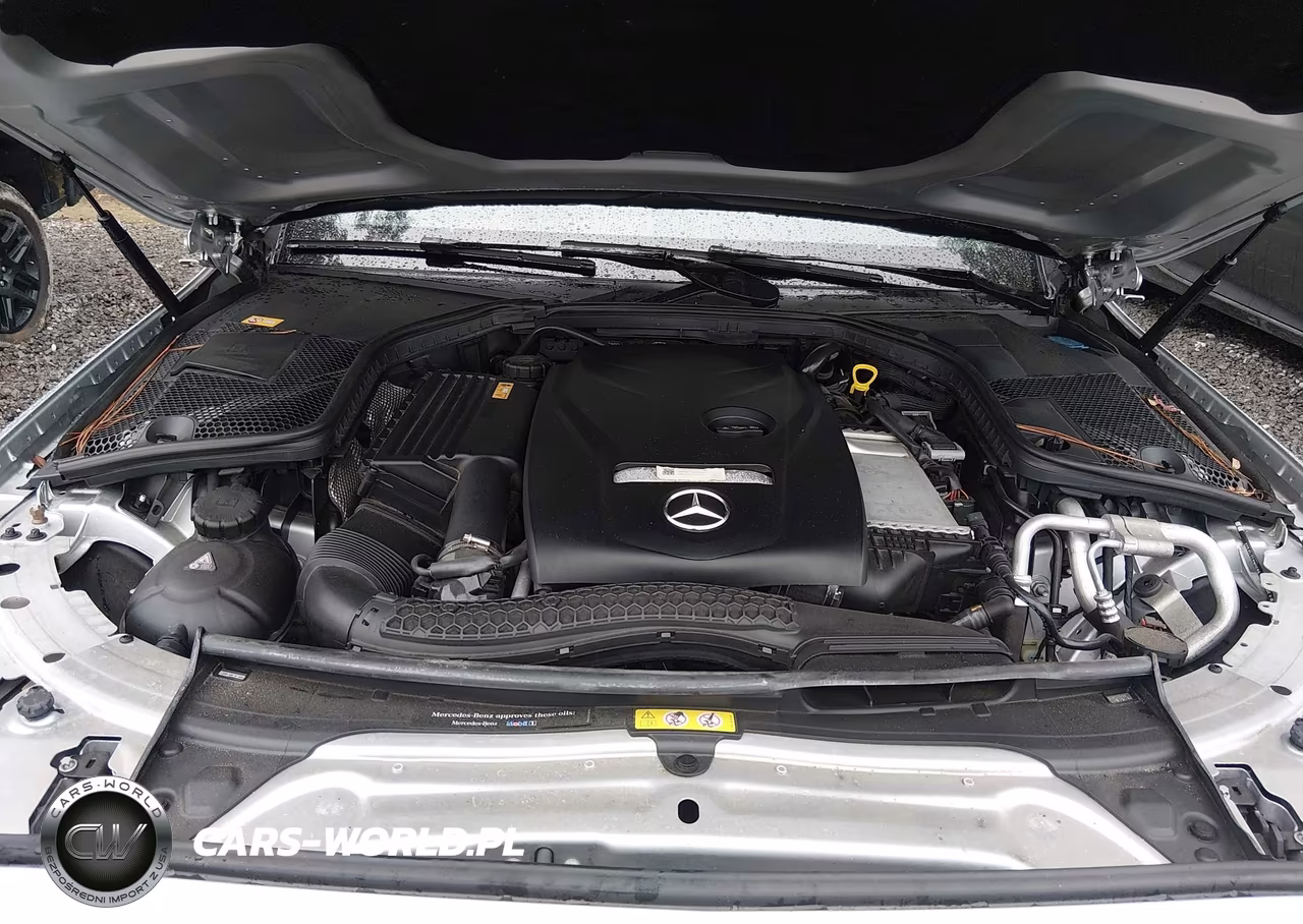 2017 Mercedes-Benz C 300 4Matic VIN:WDDWJ4KB8HF375582 - 10