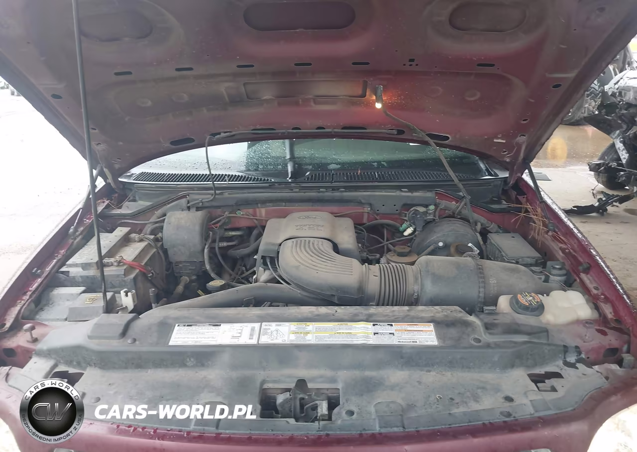 1999 Ford F-150 Lariat-Work Series-Xl-Xlt VIN:1FTRX17W8XKB05497 - 10