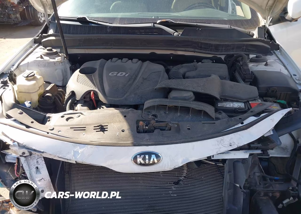 2014 Kia Optima Ex VIN:5XXGN4A78EG339890 - 10
