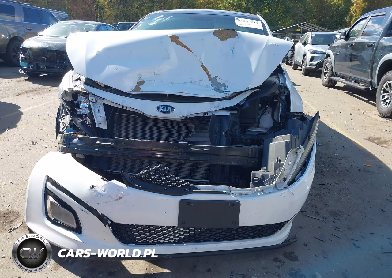 2014 Kia Optima Ex VIN:5XXGN4A78EG339890 - 12