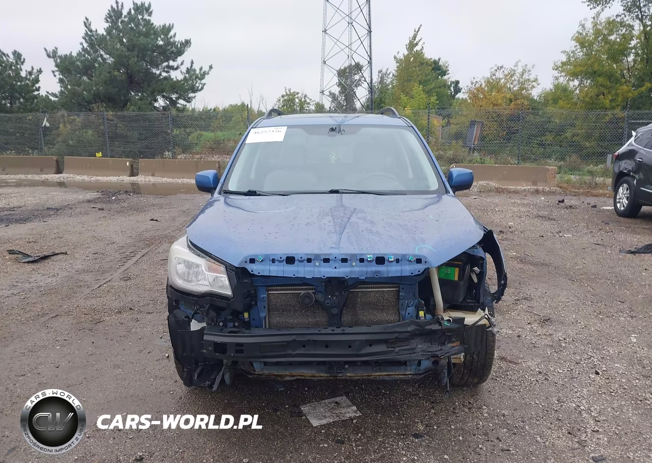 2018 Subaru Forester 2.5I Premium VIN:JF2SJAEC6JH615946 - 12